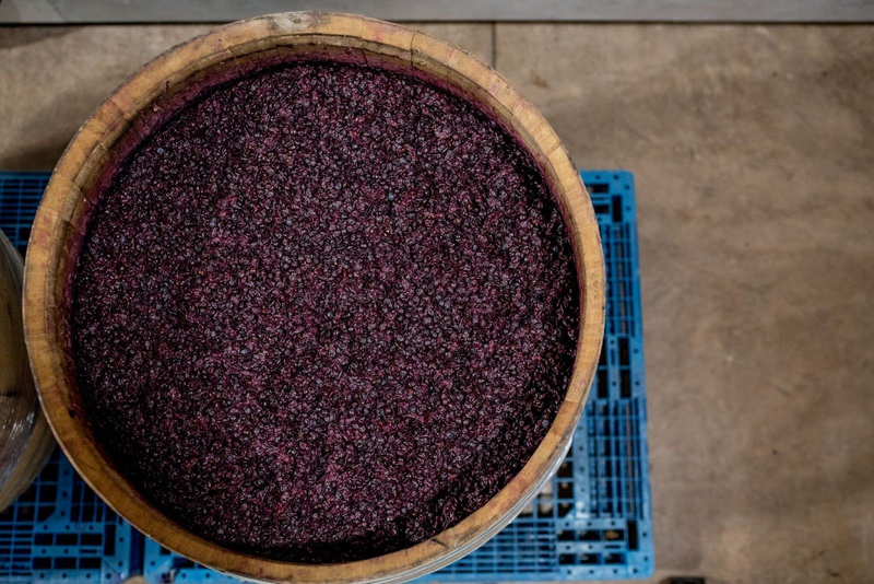 cabernet sauvignon variety in a winemaking process as featured in azur wines